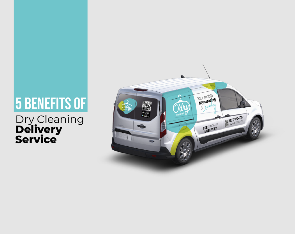 dry cleaning delivery service