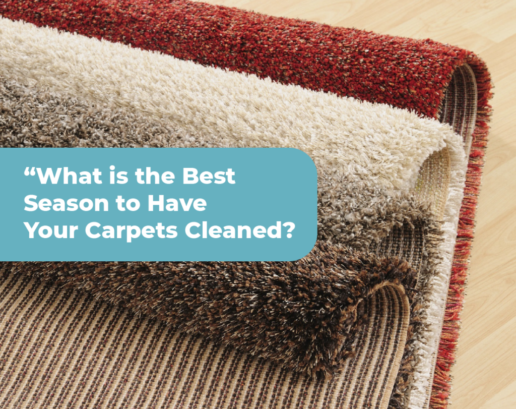 carpet cleaning